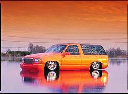 Pro Comp Suspension - Pro Comp Suspension 411014 Toxic Shock Absorber