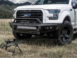 Bodyguard Bumpers - A2L Low Profile Front Bumper - Best Seller - Ford