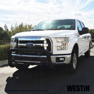 Westin - Westin 32-31025T-L Contour LED DRL Bull Bar Ford F150 2015-2020 - Image 7