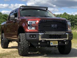 Royalty Core 14434 Ford F-150 2015-2017 RC2 Twin Mesh Full Grille Replacement