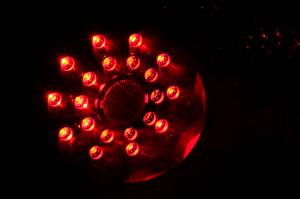 Anzo USA - Anzo USA 321194 Tail Light Assembly - Image 3