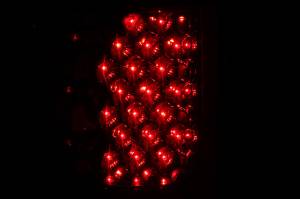 Anzo USA - Anzo USA 311038 Tail Light Assembly - Image 3