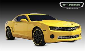 T-Rex Grilles 66027 Custom Series Grille Insert