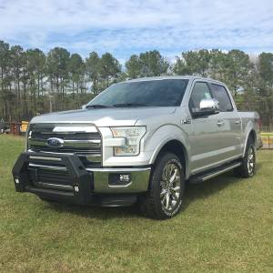 Hammerhead Bumpers - Hammerhead 600-56-0605 Bull Bar for Ford F150 2009-2020 - Image 2