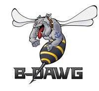 B-Dawg - B-Dawg BD-DHR3 Class III Dual Hitch Receiver