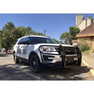 Thunderstruck FXR16-100TVI Grille Guard for Ford Explorer 2016-2019