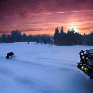 Road Armor - Road Armor 905R5B Stealth Winch Front Bumper with Lonestar Guard and Square Light Holes for Toyota Tacoma 2012-2015 - Image 7